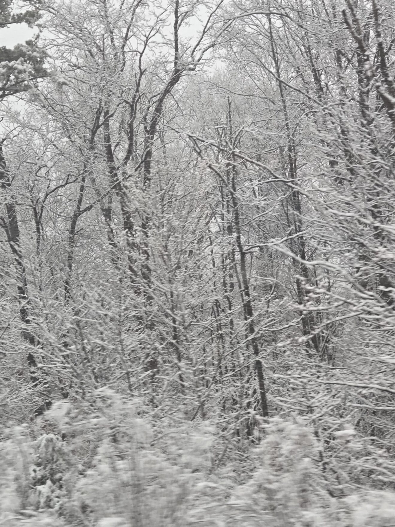 Freak weather we’ve been having lately